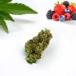 Greenhouse Sorbet - Herbe CBD BIO