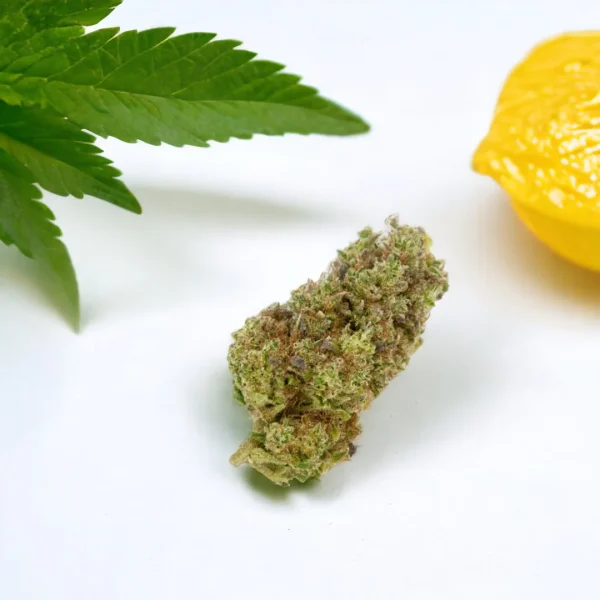 Super Lemon Haze