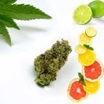 Herbe CBD - Culture Glasshouse - Amnesia 2.0