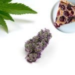 Cherry Pie Indoor Hydro