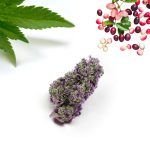 Cali Grappe Indoor Hydro CBD Herbe