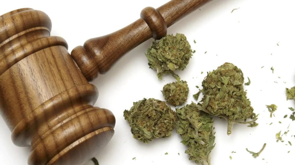 CBD au volant : ce que dit la loi 1 CBD et loi