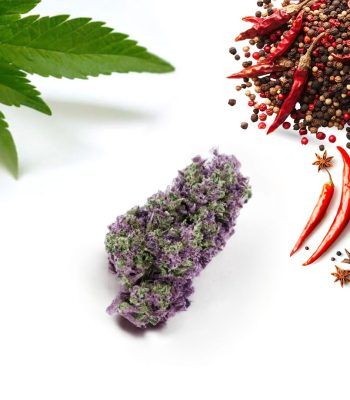 Jungle Pepper